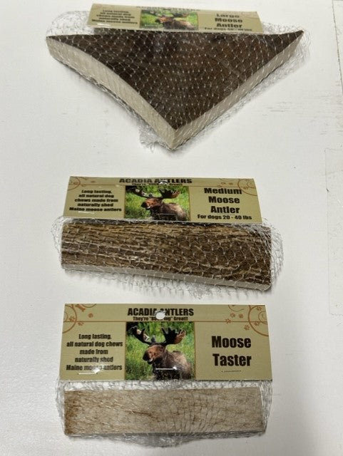 Acadia Moose Antlers